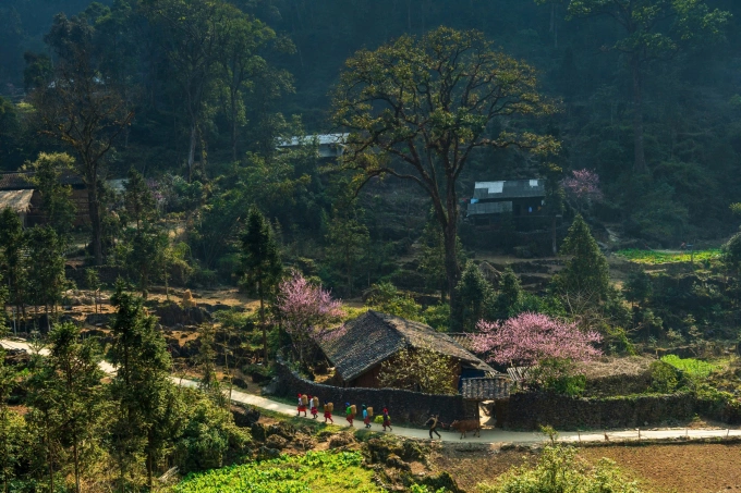 Cao nguyên đá Đồng Văn là 'Điểm đến văn hóa hàng đầu thế giới 2025